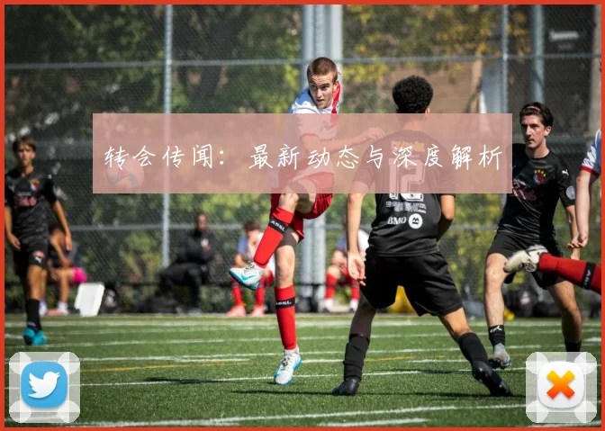 转会传闻:最新动态与深度解析