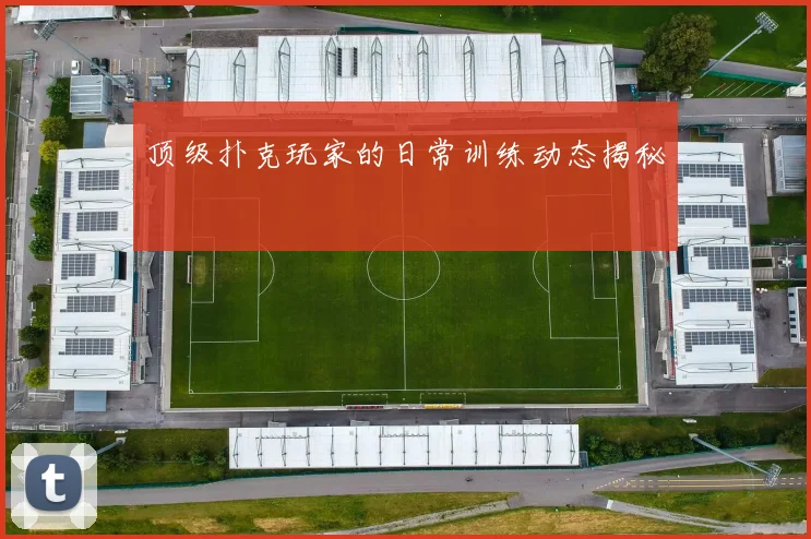 顶级扑克玩家的日常训练动态揭秘