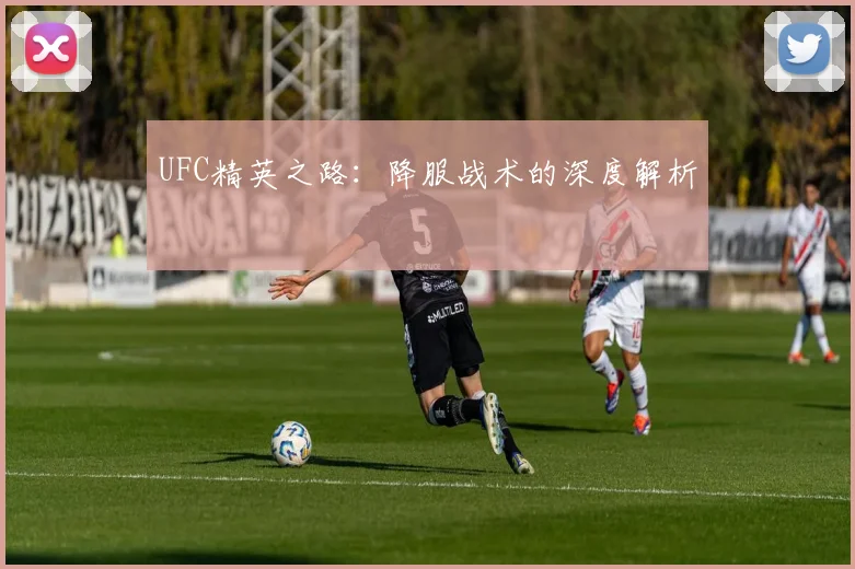 UFC精英之路:降服战术的深度解析