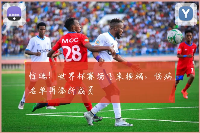 惊魂!世界杯赛场飞来横祸,伤病名单再添新成员