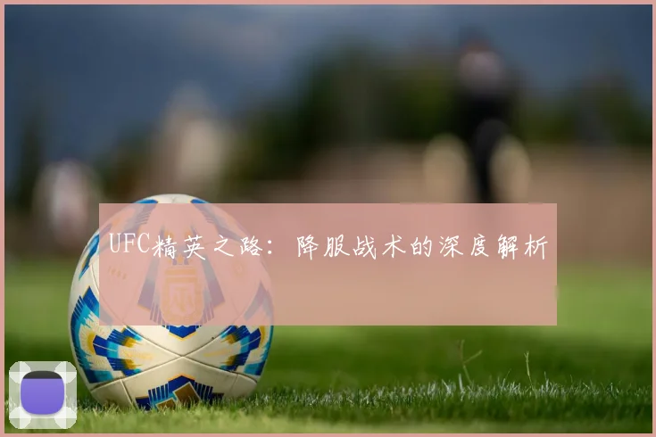 UFC精英之路:降服战术的深度解析
