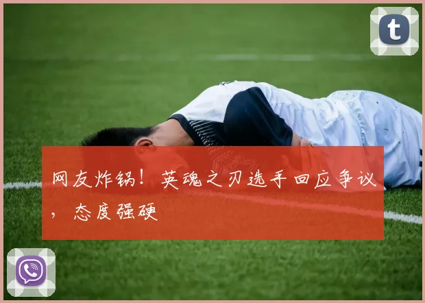 网友炸锅!英魂之刃选手回应争议,态度强硬