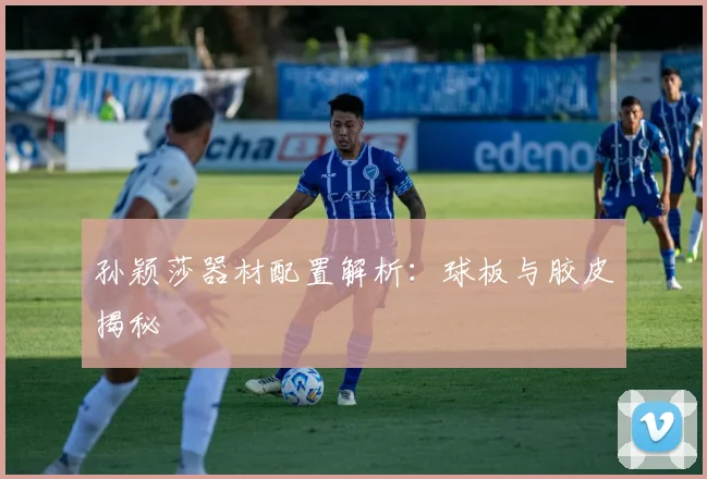 孙颖莎器材配置解析：球板与胶皮揭秘