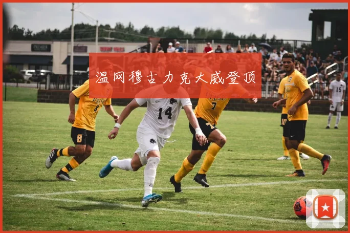 温网穆古力克大威登顶